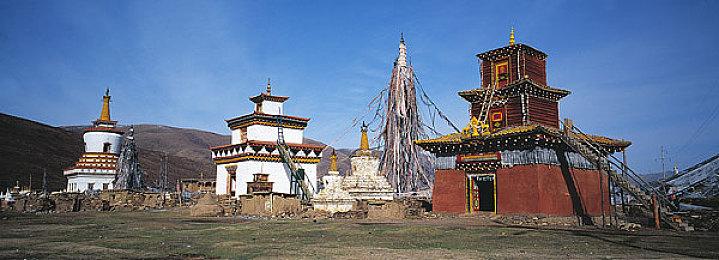 《马里奥vs大金刚》全新预告 2月16日发售